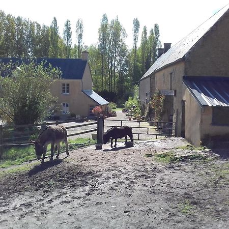 Gite Du Jardin Des Sources Villa Vaux-sur-Seulles Luaran gambar