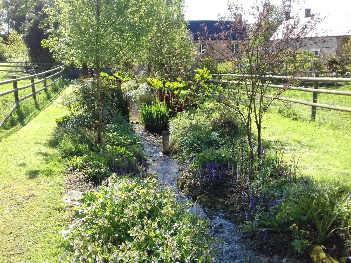 Gite Du Jardin Des Sources Villa Vaux-sur-Seulles Luaran gambar